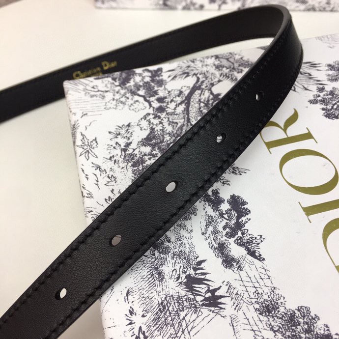 Christian Dior Belts